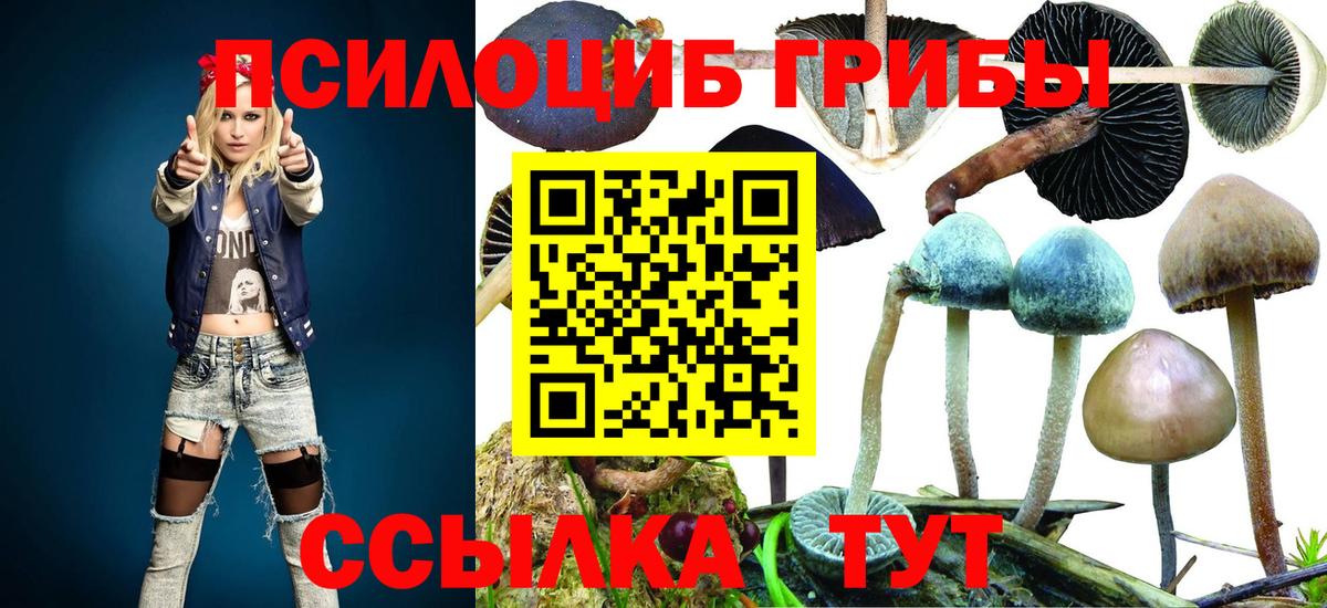 цены   Вход с VPN  Ялуторовск  Псилоцибиновые грибы MAGIC MUSHROOMS 